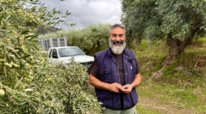 Olive Harvest 2026/27 in Crete Has Started: Our New Organic Olive Oil Is Coming