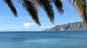 Welcome to Mochlos – My Favourite Village in Eastern Crete