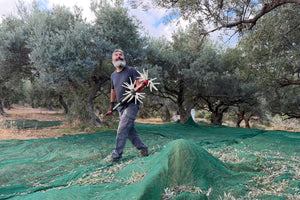 Harvest 2026 Is Coming: Fresh Early Harvest Olive Oil, Direct from My Farm in Crete