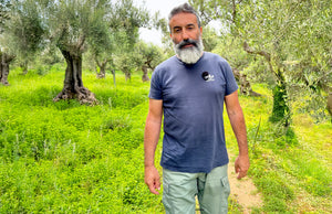 From Winter Work to Summer Growth – Life on Our Olive Fields in Crete